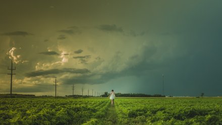 Энергетики перешли на усиленный режим работы из-за шквалистого ветра в Воронеже