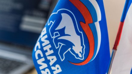 Стартовало электронное предварительное голосование «Единой России»