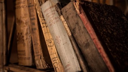 Воронежскому госуниверситету вернули украденные в годы войны старинные книги