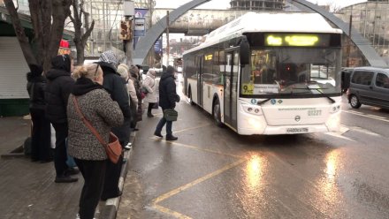 Мэрия опровергла нехватку общественного транспорта в Воронеже