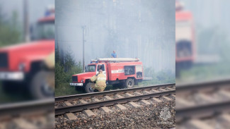Ландшафтный пожар произошёл в Воронежском заповеднике
