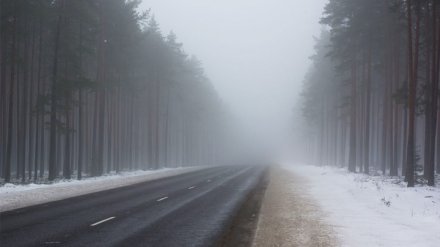 Синоптики: в Воронежской области вновь ожидается опасный туман