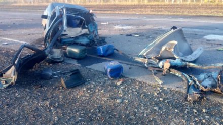 В Воронежской области при лобовом столкновении 2 авто погиб мужчина