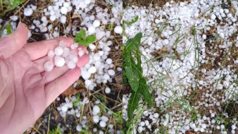 Сильный град прошёл на юге Воронежской области