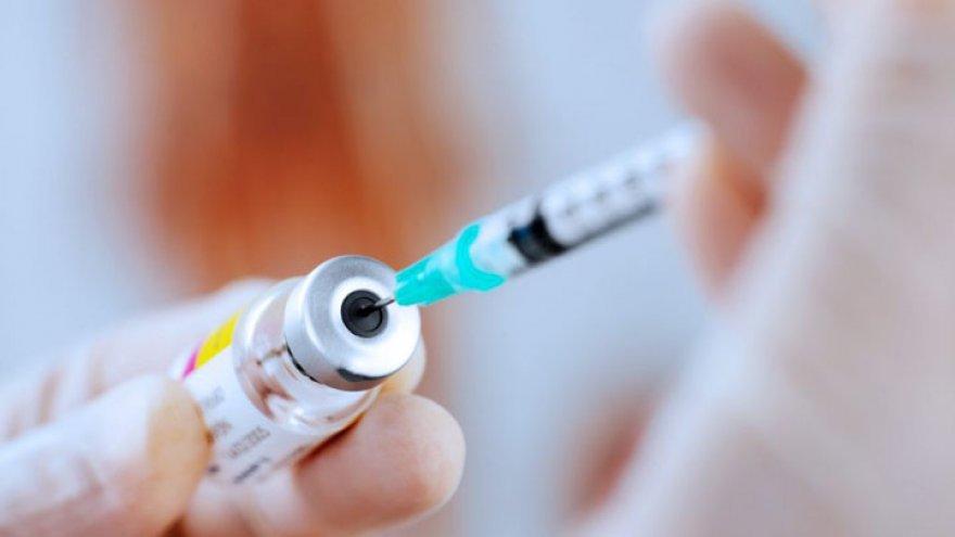 Врачи прокомментировали слухи об отсутствии вакцины от бешенства в Воронежской области