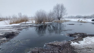 Воронежцы пожаловались на загрязнение реки Усмань сточными водами