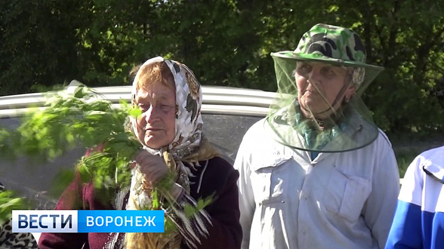 Как уменьшить страдания. Воронежские санврачи рассказали о способах защиты от комаров
