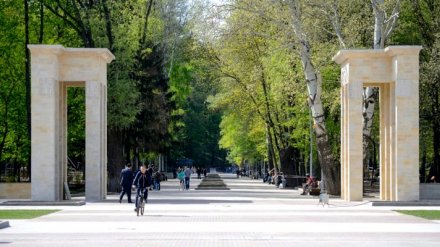 Концепцию развития Центрального парка Воронежа разработают 3 европейских компании