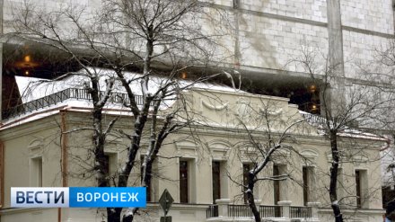 Блогер Илья Варламов включил воронежское здание в список «пожирателей истории»