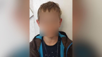 Сбежавшего от матери 9-летнего мальчика в Таловой отправят в детдом