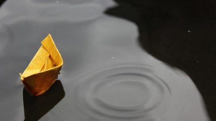 Пропавшего на границе с Воронежской областью малыша нашли мёртвым