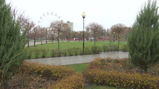 Воронежцам предложили выбрать общественные пространства для благоустройства