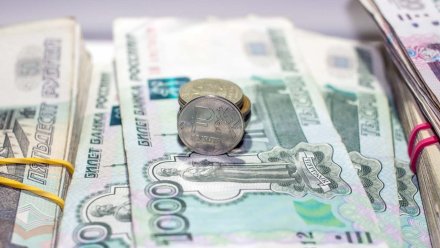 Борисоглебский мясокомбинат задолжал сотрудникам зарплату на миллион рублей