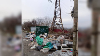 Воронежцы пожаловались на забитые до отказа мусорные баки на улице Аксакова