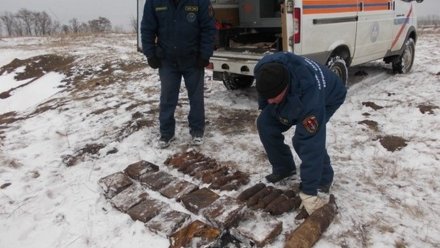 В Воронежской области взорвали 11 боеприпасов