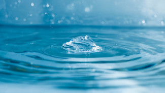 В Воронеже дома на 14 улицах и хладокомбинат останутся без воды на два дня