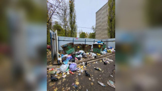 Воронежцы пожаловались на бездействие УК из-за разбросанного мусора во дворе 