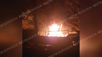 Новый пожар уничтожил дачу в посёлке Рыбачий под Воронежем
