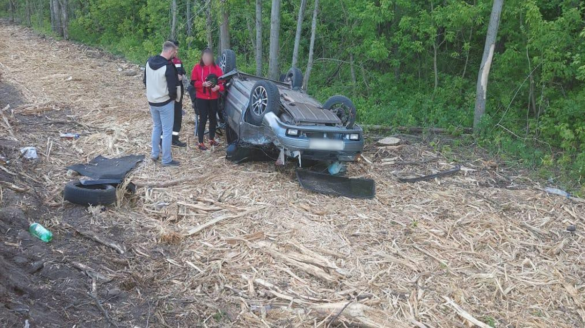 Дтп на скоростной трассе автобус с пассажирами перевернулся в кювет есть пострадавшие задача