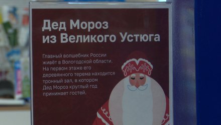 Почта Деда Мороза заработала в Воронежской области