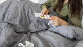 Воронежские санврачи рассказали о циркуляции свиного и гонконгского гриппа