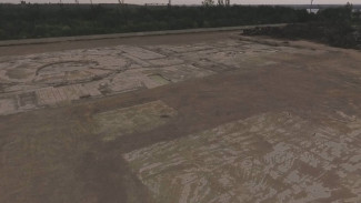 Воронежцам показали пустырь на месте снесённой ВАСТ