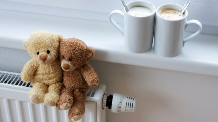 Несколько десятков домов в Железнодорожном районе Воронежа остались без отопления