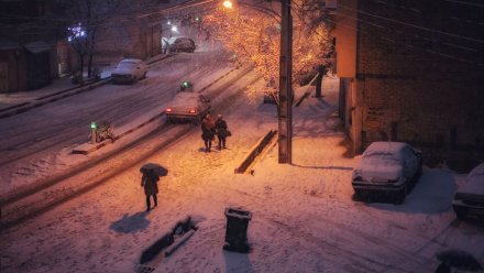 В Воронеже на Левом берегу нашли припорошенный снегом труп 