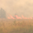 Высочайший класс пожарной опасности установился в Воронежской области