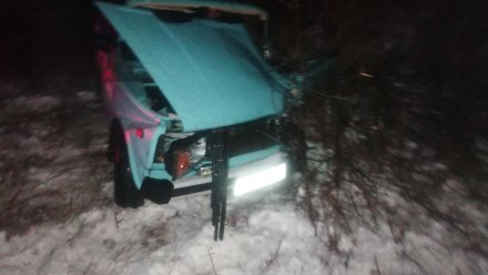После аварии с КамАЗом и «Жигули» на скользкой воронежской трассе госпитализировали водителя