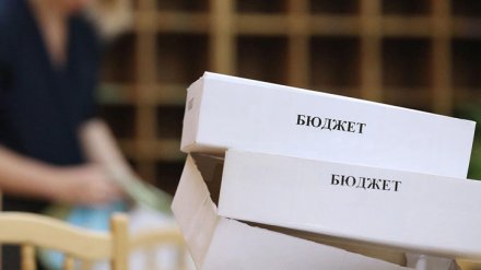 Бюджет Воронежской области увеличился на 750 млн рублей