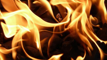 Полквартиры выгорело в Воронеже из-за вспыхнувшего моноколеса