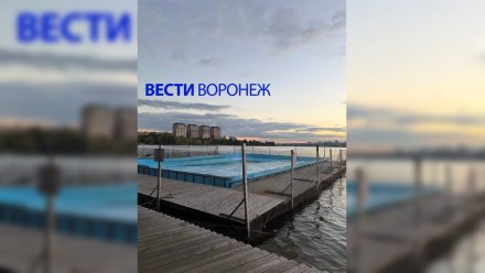 Воронежцам спустя 3 года назвали предварительную дату открытия бассейна «Дельфине»