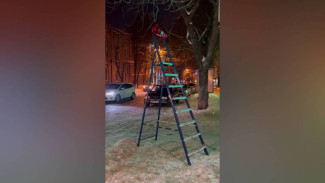 Воронеж сравнили с Геленджиком из-за появившейся у «Юности» стремянки с рупором