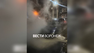 «Там была яма с кипятком». Воронежец рассказал о ЧП с провалившейся под асфальт машиной