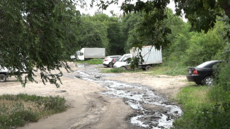 В Воронеже фекальное болото на Димитрова пополнилось новыми стоками