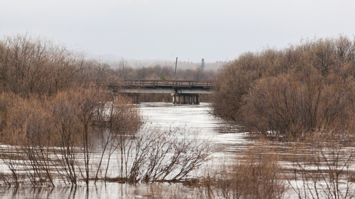 В Воронеже назвали места возможного подтопления во время паводка |  10.03.2021 | Воронеж - БезФормата