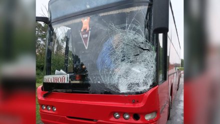 Автобус насмерть сбил неизвестного пешехода на воронежском участке М-4 «Дон»