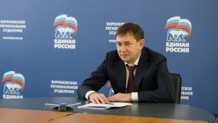 Владимир Нетёсов рассмотрел обращения воронежцев по социальным и коммунальным вопросам