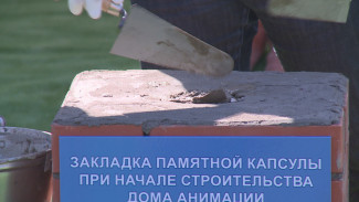 Строительство Дома анимации в Воронеже вновь перенесли