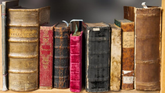 В Воронеж привезут уникальное оборудование для сохранения книжных памятников