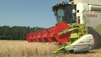 Воронежские аграрии установили рекорд по сбору зерна за 2022 год