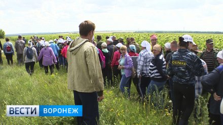 Общественники начали сбор подписей в защиту отца погибшего под Воронежем мальчика