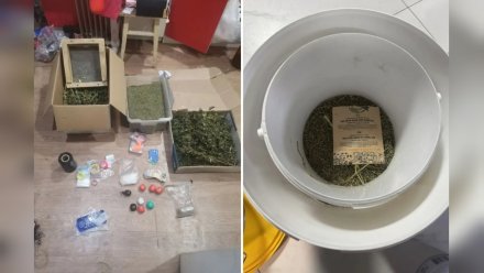 Лабораторию по производству амфетамина и ЛСД накрыли в Воронежской области