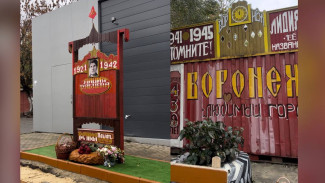 В Воронеже бездомный создал сквер в честь Лидии Рябцевой