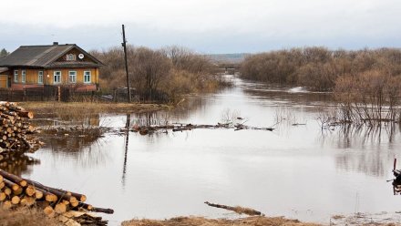 Воронежцы останутся без помощи при подтоплении незастрахованных земельных участков