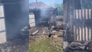 В воронежском селе огонь уничтожил автомобиль и гараж