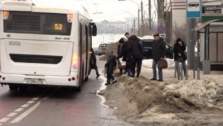 Стало известно, какие перевозчики сократили выпуск автобусов в Воронеже