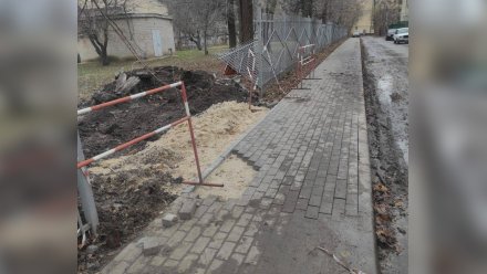 В мэрии сообщили о невозможности построить тротуар к мегашколе в Воронеже
