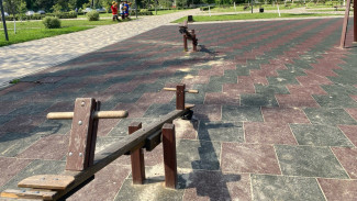 В Борисоглебске нашли опасные детские площадки